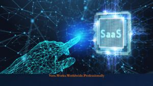 Delaware C-Corp for SaaS