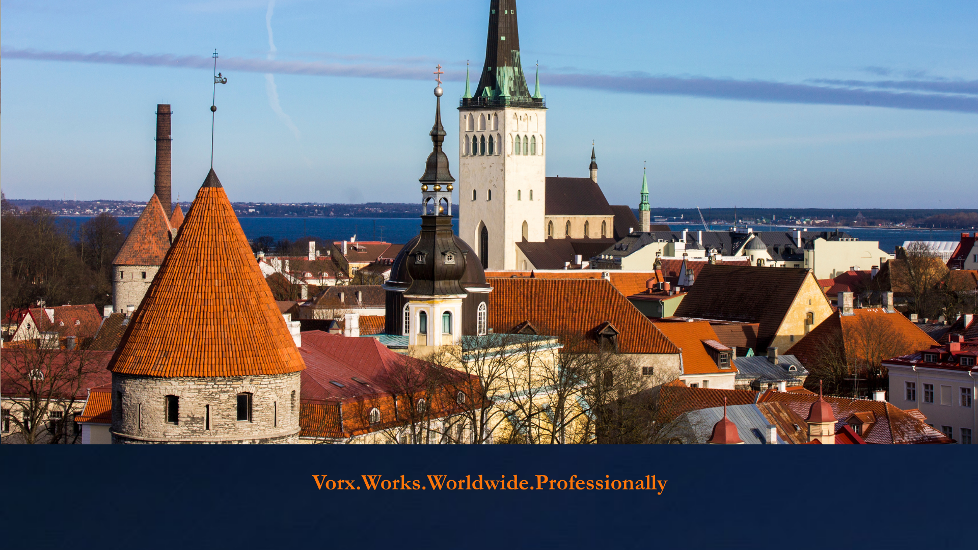SaaS Company in Estonia