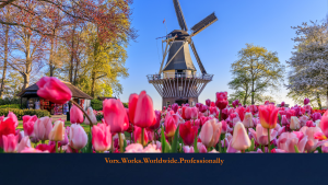 Start a Business in Netherlands